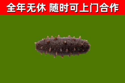 宣汉烟酒回收干海参.jpg